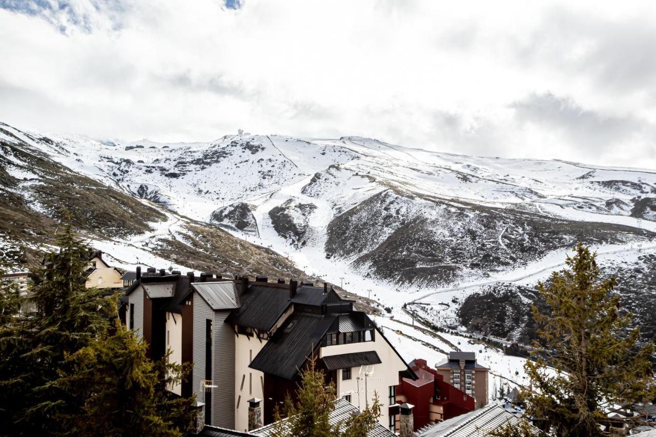Estudio Queen Sierra Nevada Eksteriør bilde